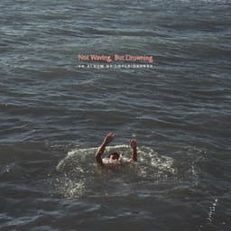 Loyle Carner · 2019 · 15 songs: Not Waving, But Drowning